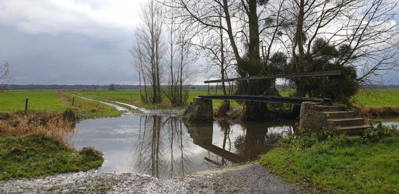 Charming Cottage Du Marais Dday Omaha Beach Canchy  Dış mekan fotoğraf